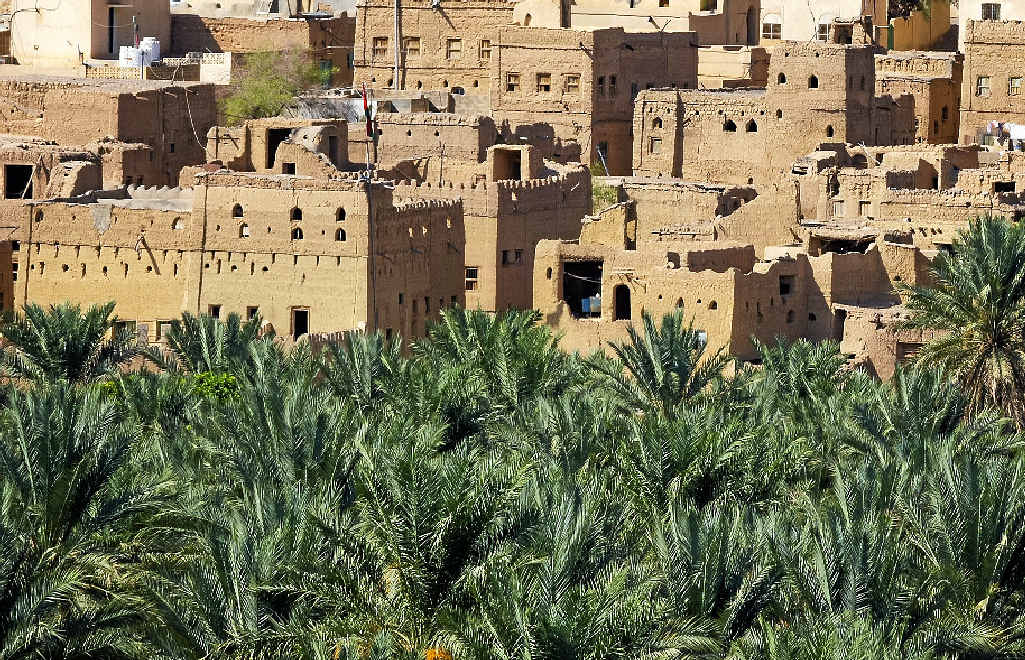 Date palms surround the outer precincts of Muscat. Date palms surround the outer precincts of Muscat.